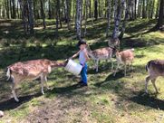 Safari parks More