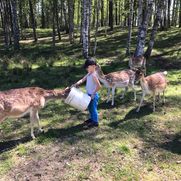 Safari parks More