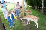 Safari parks More