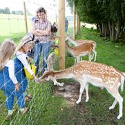 Safari parks More
