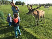 Safari parks More